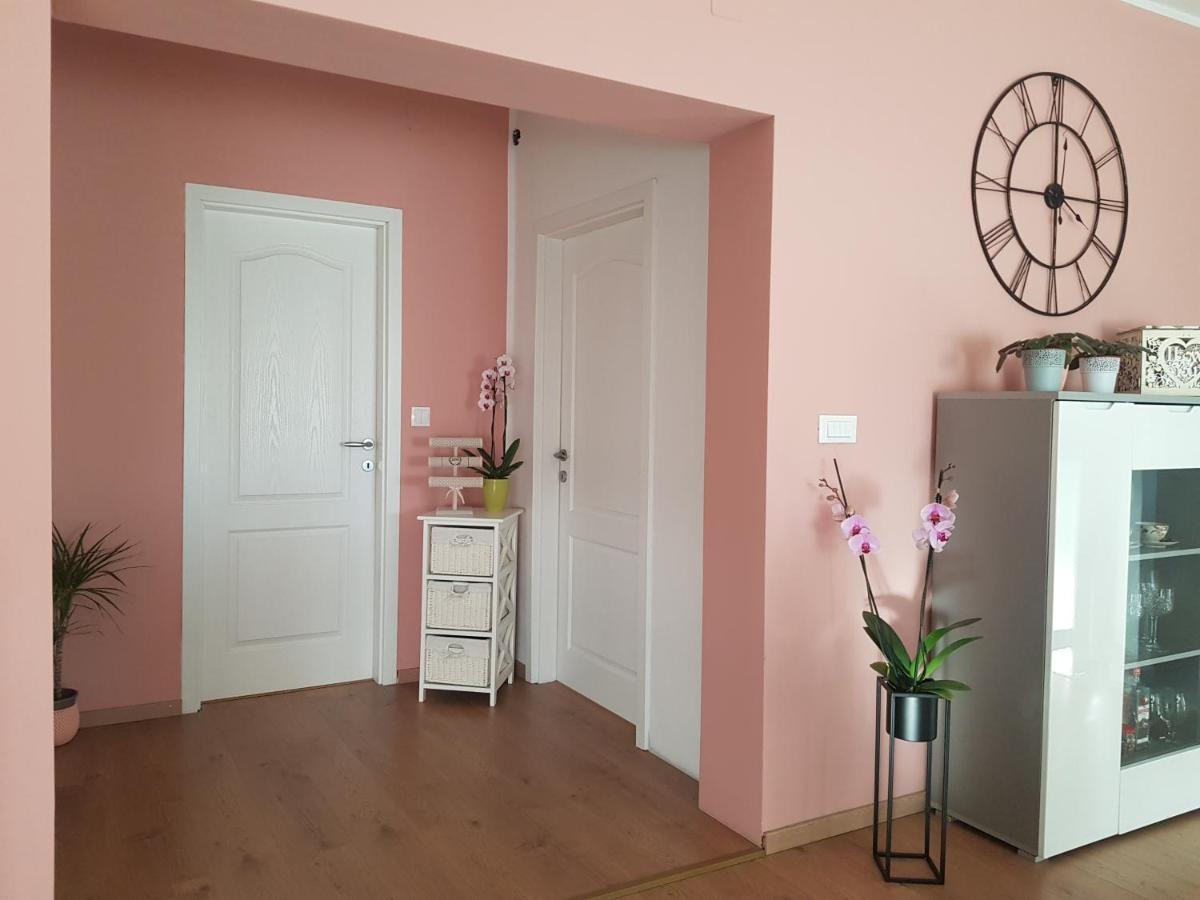 Apartmani Milutin Brodarica  Ngoại thất bức ảnh